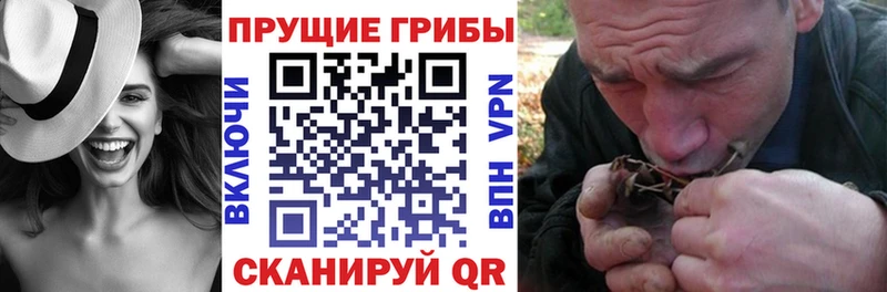 купить наркотики цена  Москва  Галлюциногенные грибы мицелий 