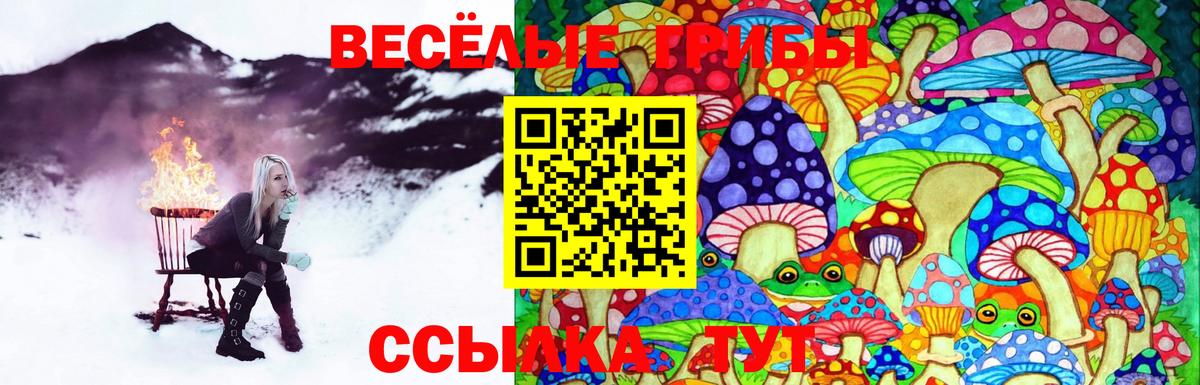 Москва  Галлюциногенные грибы MAGIC MUSHROOMS  Галлюциногенные грибы Psilocybine cubensis  Вход с VPN 