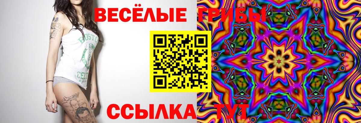 Псилоцибиновые грибы мухоморы Москва
